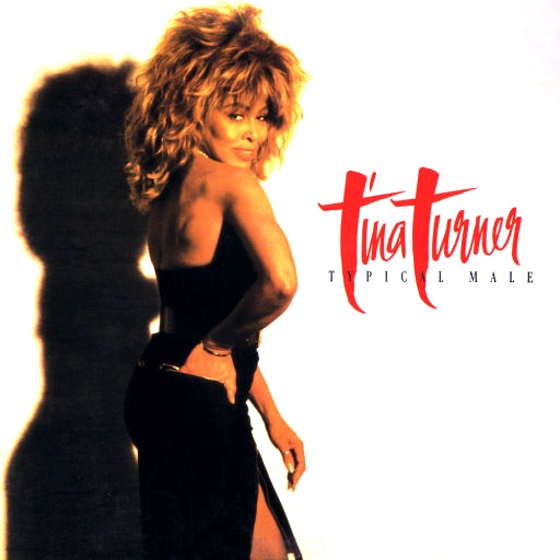 Tina Turner - Typical Male